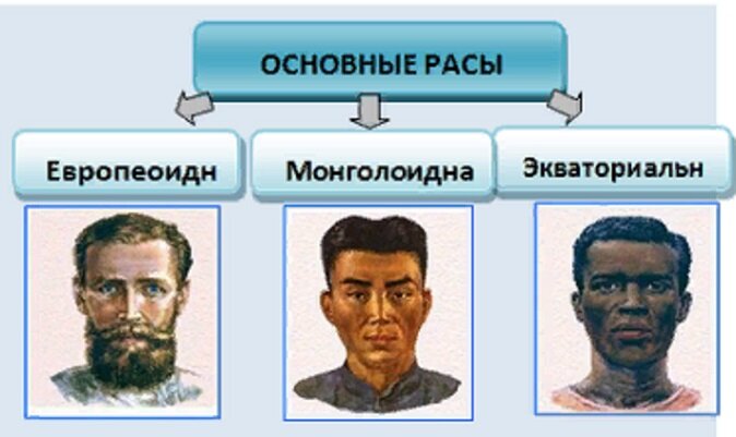 6 человеческие расы