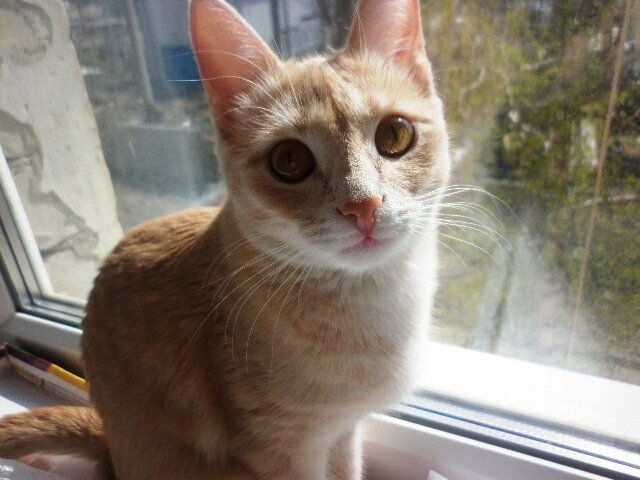 Фото автора статьи