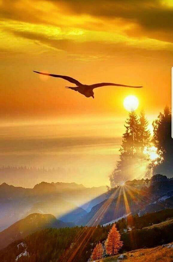 ...И НИКУДА НЕ НАДО...