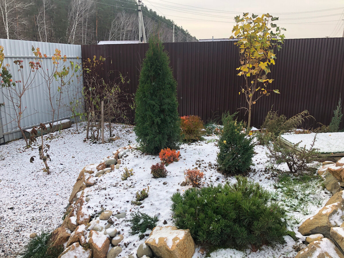 Сразу оголился забор! Листайте --->