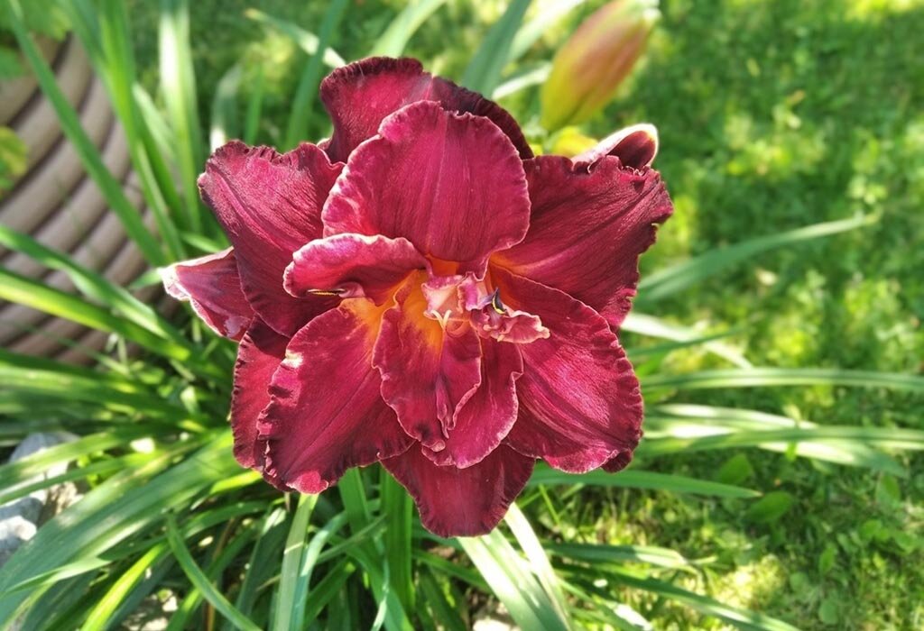 фото из личного архива