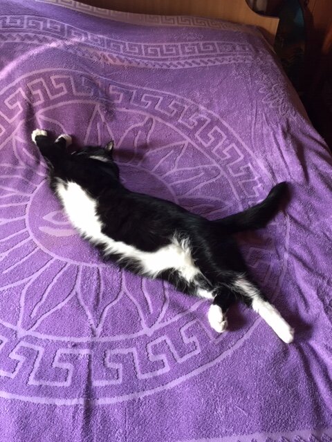 "Кому на Руси жить хорошо"