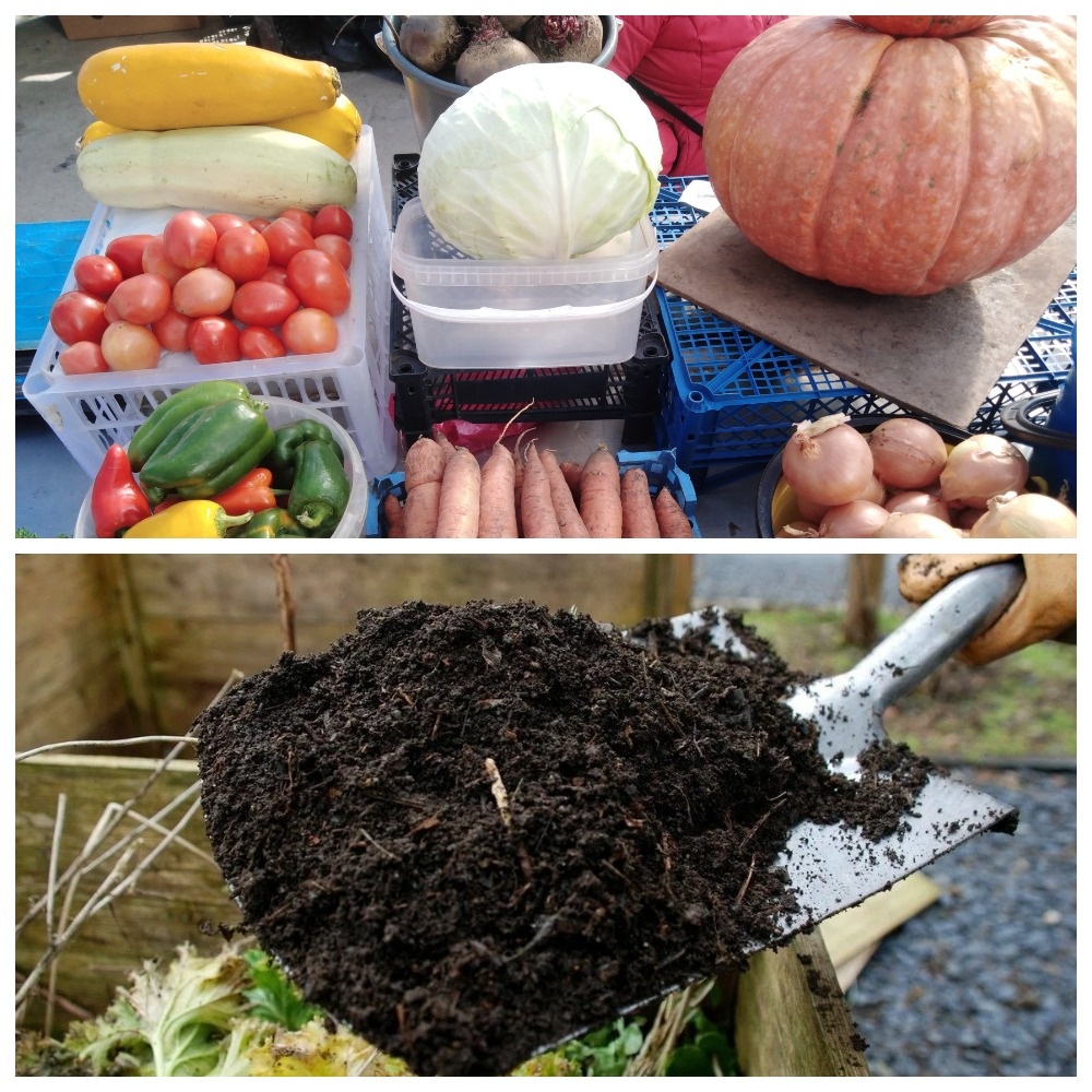 Ставьте "лайки" и подписывайтесь на мой канал!