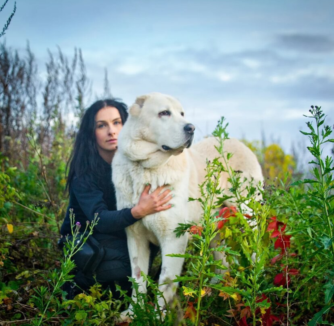 Наш волонтёр и Нестор