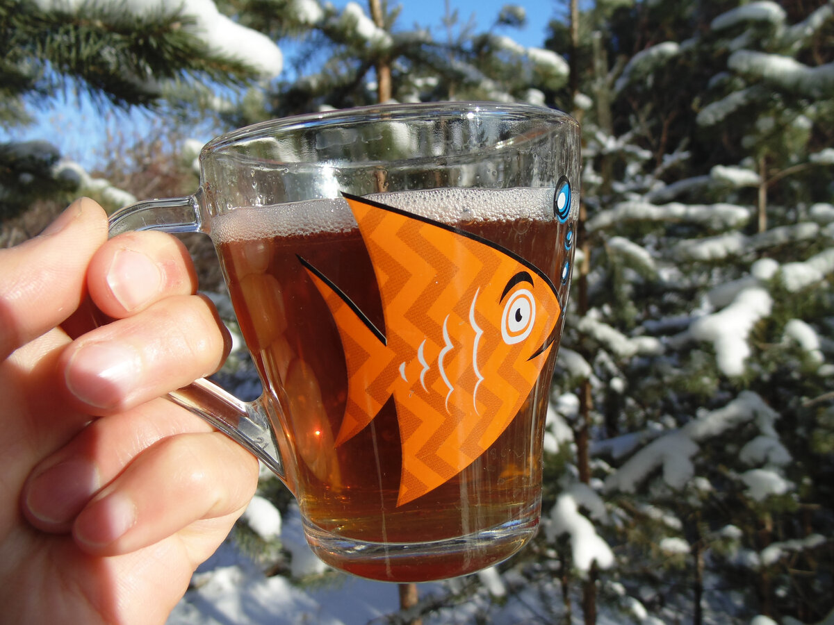 Чай с "рыбьим жиром" Омега 3 жирными кислотами, полезный для всего