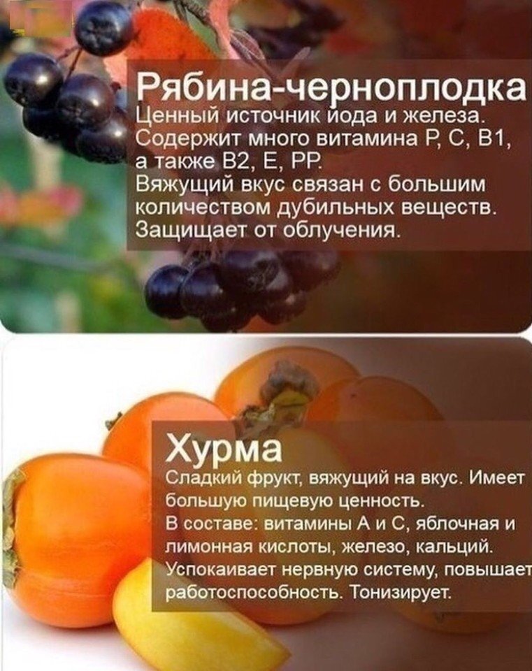 Вяжущий вкус продукты. Витамины содержащиеся в хурме. Йод в хурме. Хурма содержит железо. В хурме содержится йод.