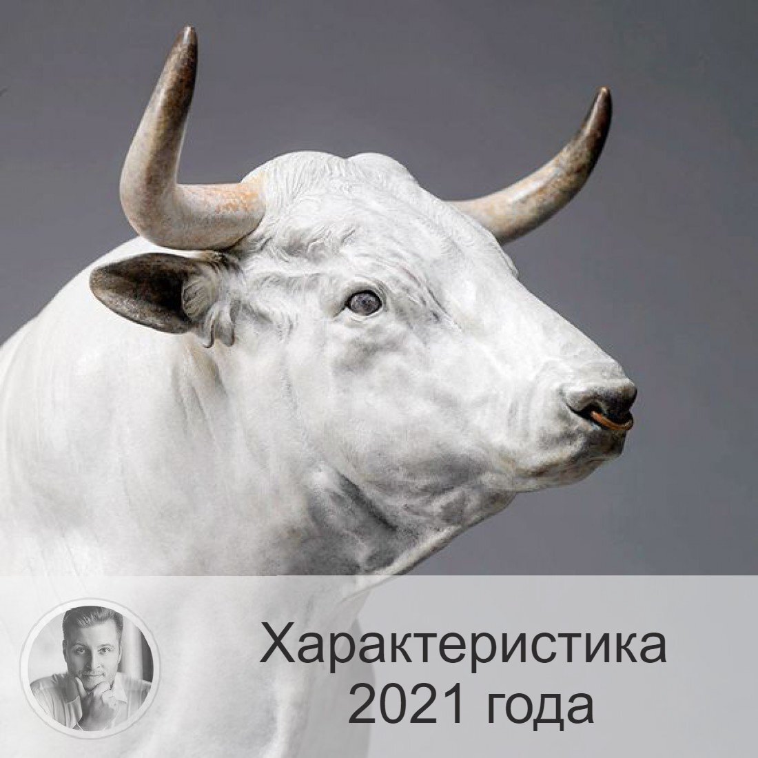 Подписывайтесь на наш канал, друзья!
Грядущий год – Белого Металлического Быка – будет удачен для тех, кто соответствует симпатиям символа года. 
Бык – ценит семейный очаг, трудолюбив и практичен. Не переносит тех, кто хочет без каких-либо усилий, «на чужом горбу» достичь цели. Бык – за честность и порядочность. Он уважает творческих людей.

Бык – существо, почитающее семейные ценности. Поэтому он будет благоволить тем, кто идёт на пути к семье, кто обустраивает семейный очаг.

Слабость Быка – в том, что он эмоционален. При достижении целей в грядущем году нужно держать себя в руках, быть максимально спокойными, не растрачивать энергию попусту.

Бык – благородное животное, в связи с чем ожидаем от этого года твёрдых волевых решений, действий, поступков по чести.

Мудрость Быка также очевидна. И то, что 2021 год – год именно «Белого» Металлического Быка, радует, говоря о том, что год будет «светлым».
Представьте, какой этот Бык на вид. Внушительных размеров, белого металлического цвета, он кажется грозным. И его врагу не очень-то позавидуешь. Да, Бык агрессивен. Но в то же время он очень общительный, дружелюбный и жизнерадостный.

Бык – не скоростное животное. Он всё же отличается медлительностью. Это говорит о том, что и события в 2021 году будут развиваться не так уж стремительно.

Бык – умён, хотя внешне он довольно-таки прост. При общении он умеет расположить к себе собеседника и подводит к искренности.

Бык – оптимист. Поэтому призываю вас в грядущем году заручиться позитивными взглядами на жизнь, чтобы символ года с радостью воплощал ваши мысли в реальность.

Бык – честен, ответственен. Соответственно нужно стремиться действовать по совести, особенно в грядущем году. Какие-то хитрости, не очень открытая игра – могут обернуться крайне неудачно.

Да, 2021 год пройдёт в полной занятости, но зато спокойнее, чем предыдущий, високосный. И так даже лучше. Потому что ели совсем нет занятости – добро пожаловать, стресс. Поэтому важно тот запал, который будет у нас в первой половине 2021 года, не растерять во второй.

Трудиться и ещё раз трудиться, друзья! Знайте, что усилия не пройдут даром. Всё, что будет начато в году Быка, найдёт продолжение в дальнейшем. Главное – сейчас качественно «начать».

По финансам – не сказать, что год позволит взлететь вверх, но заложить хороший фундамент для будущего – вполне возможно. Здесь зависит уже от самого человека. Медленно, но верно можно продвинуться вперёд к цели.

Бык – консервативен. Поэтому в грядущем году захочется ничего особо не менять в своей жизни. И будет тяжело впустить в свою жизнь динамику и перемены. Это необходимо осознать, чтобы двигаться и принимать правильные решения. Интуиция – хороший помощник в этом.

Друзья, мы поговорили об общих характеристиках года.

Желаю вам правильно подойти к встрече Нового года в плане настройки на то, какую лучше стратегию разработать, опираясь на характеристику года.

—————
Больше статей - на моём сайте:
https://numeromagic.ru/articles/