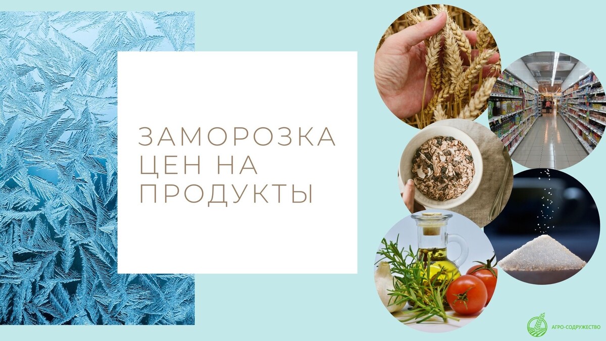 заморозка цен на продукты в России с 1 января