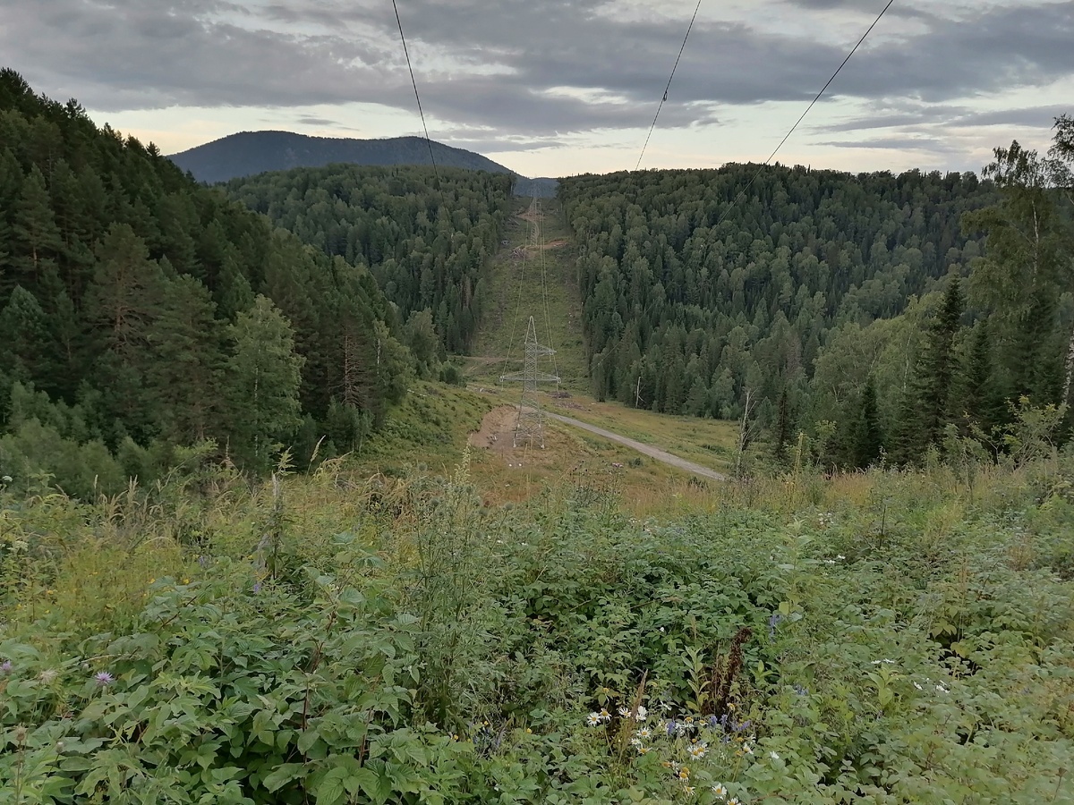 Линия электропередач будет прямая, как стрела