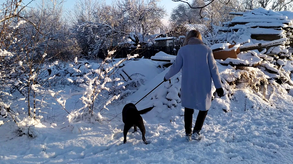 Тянем потянем, вытянуть не можем. Фото автора. 