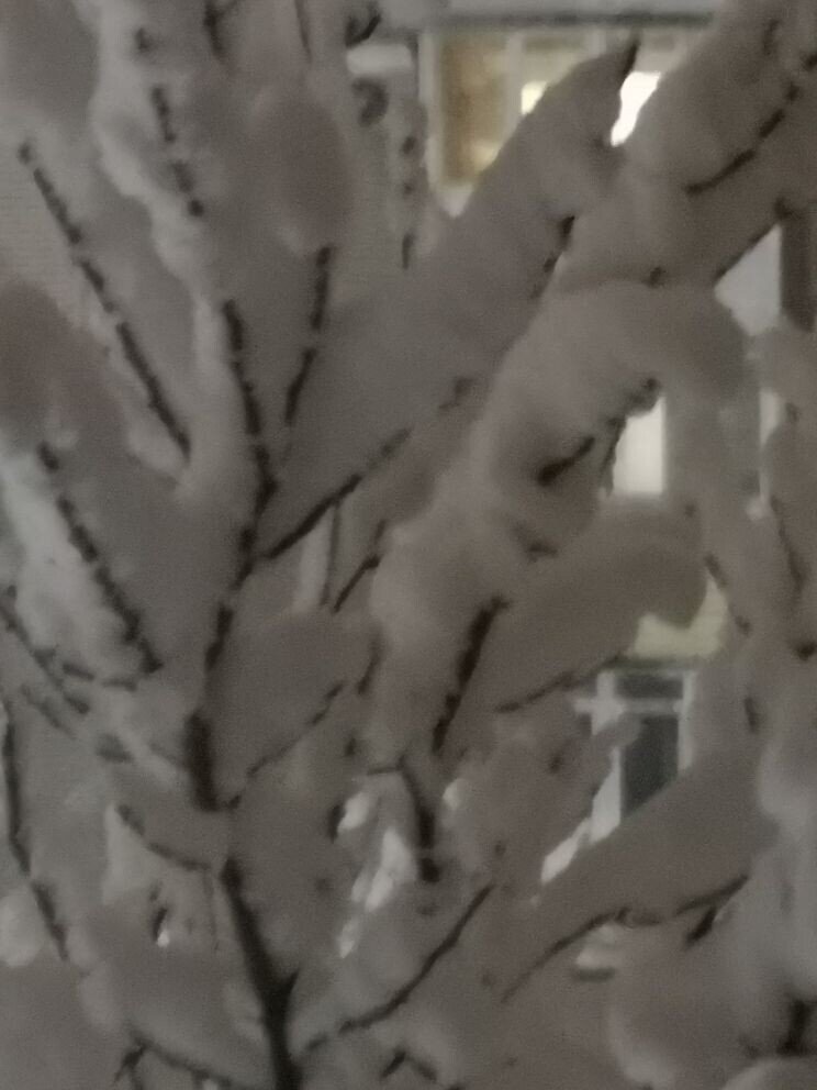 Зима. Фото автора