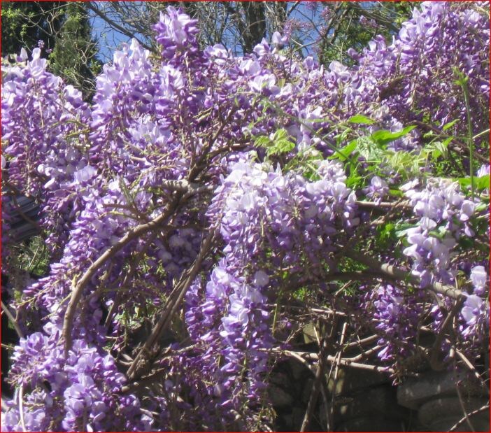 Возле Ливадийского дворца