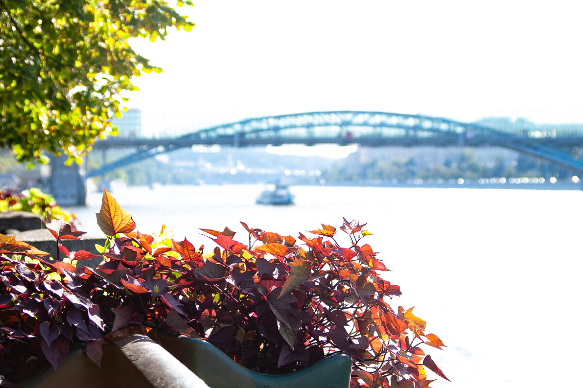 ISO 200, 1/500S, 50mm, F/4.5 Minolta AF ZOOM 28-135 1:4(22)-4.5