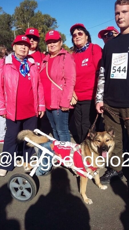 Фото: Фонд «Благое дело»