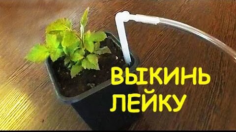 Автополив «EasyGrow+» (расширенная версия) - купить по ВЫГОДНОЙ цене