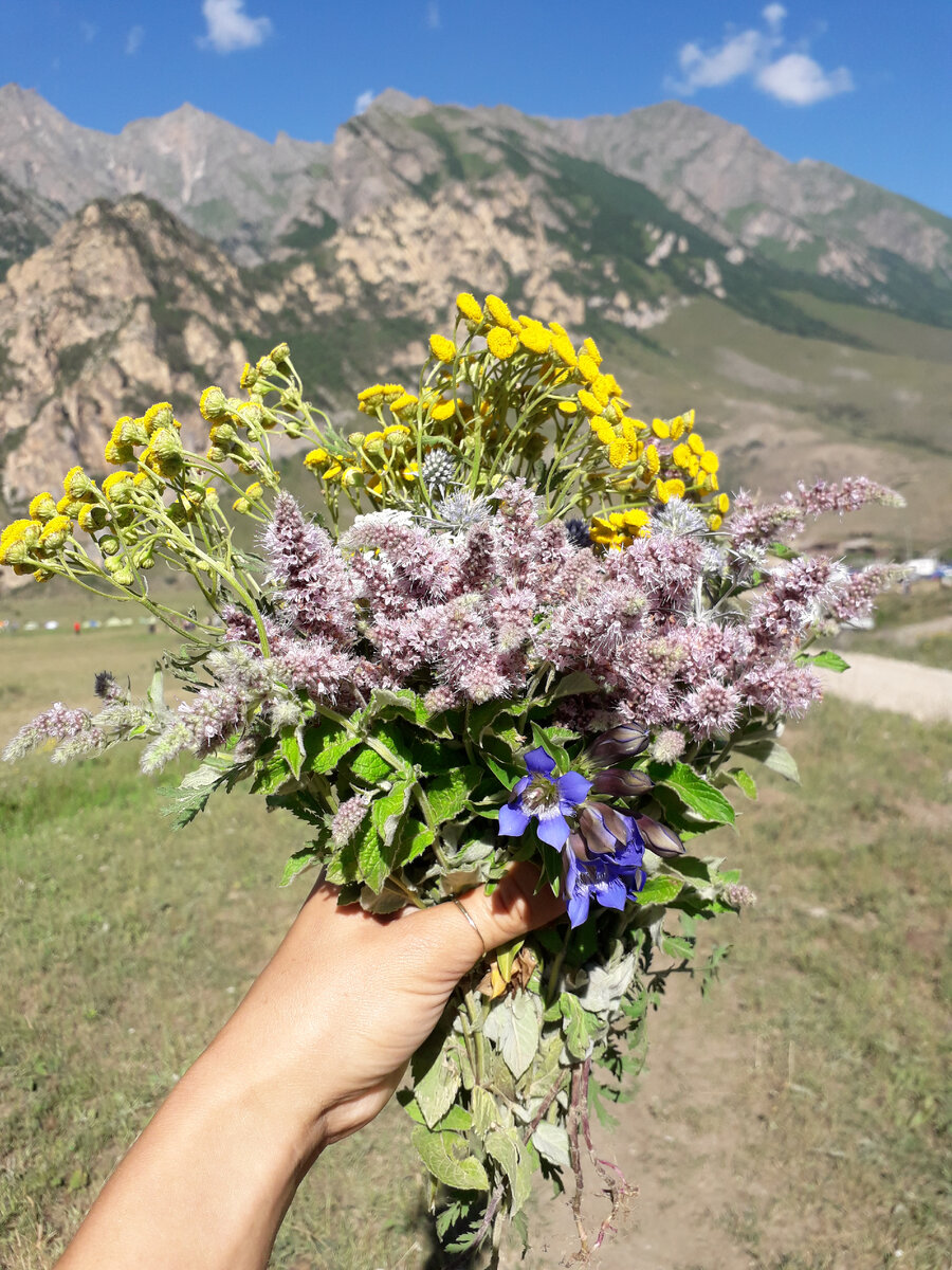 сбор"дикого букета" тоже увлекательное занятие