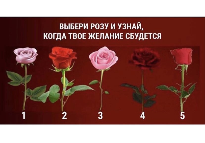 Тест выберите розу и узнайте. Розы картинки красивые. Тест с розой. Тест исполнится ли моё желание. Найди свою розу.