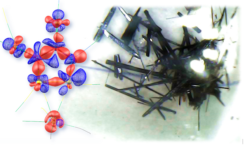 Фото: архив Е. В. Барташевич