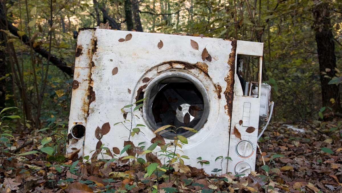 яндекс.картинки, свободный доступ