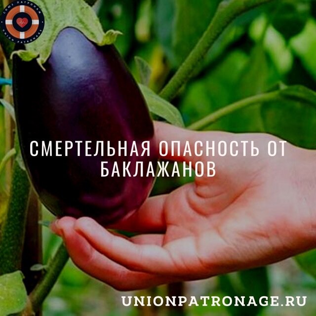 Фото взято из открытых источников 