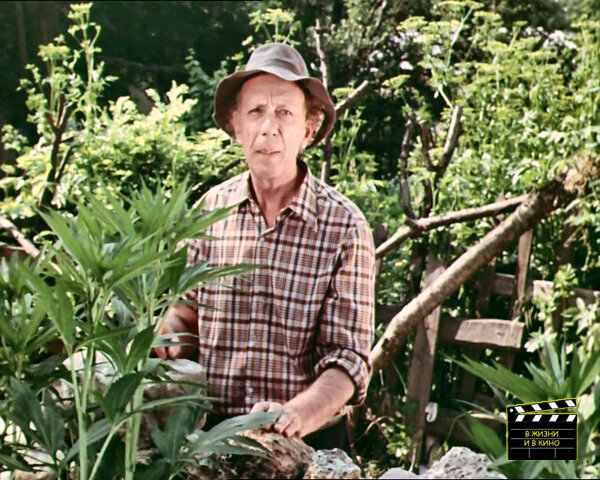 Кадр из фильма «Волшебный голос Джельсомино» (1977))