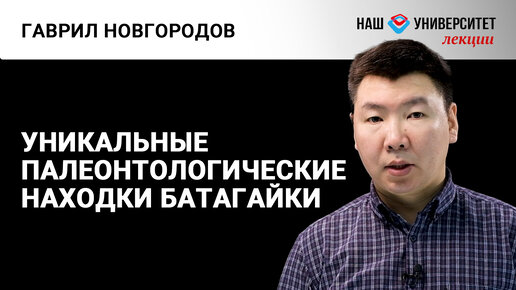 О палеонтологических находках в местонахождении Батагайка – Гаврил Новгородов