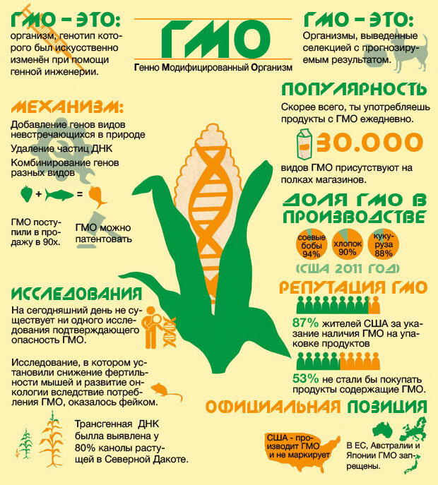 Оригинал картинки взят с англоязычного источника