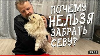 Спасение животных / Я не знал, что Сева умеет курлыкать