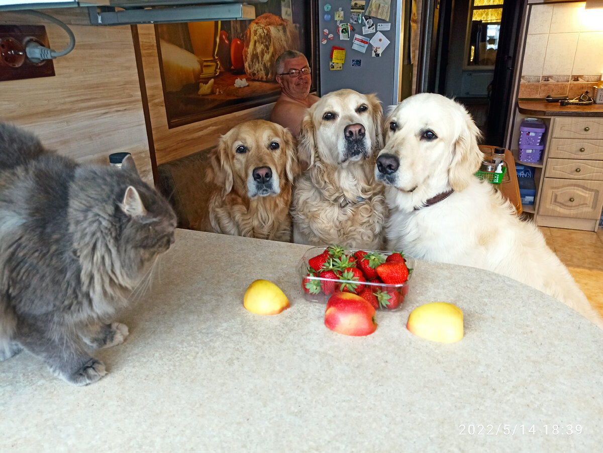 Маняха пересчитывает армию своего неприятеля и у неё не сходится