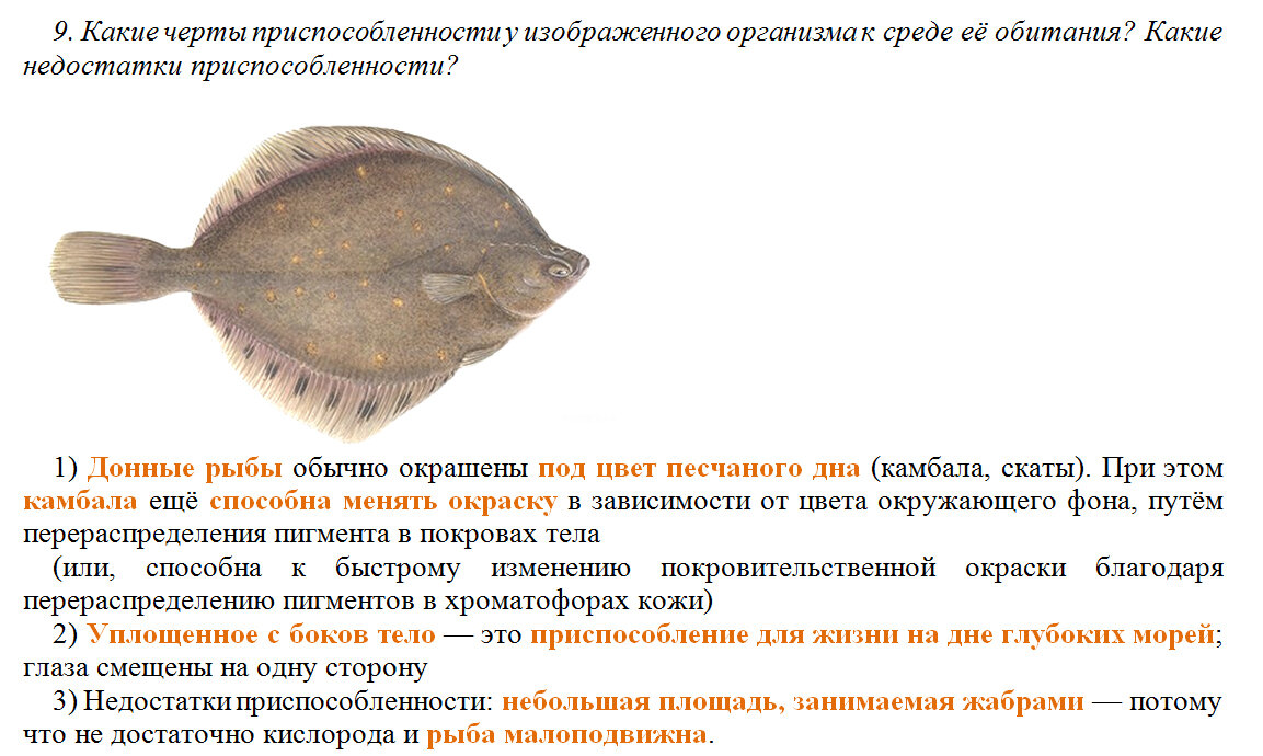 Это просто вопрос ЕГЭ и ответ на него. Ничего лишнего!