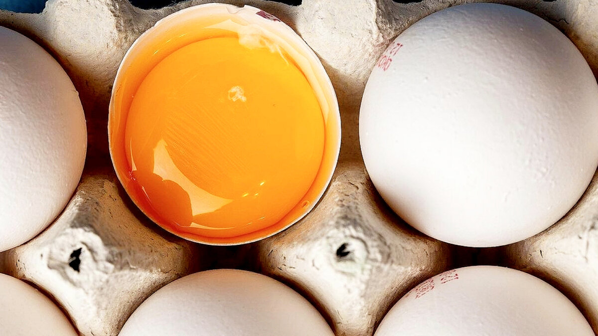 Если вы употребляете яйца значит, что вы можете получать достаточное количество белка в своем рационе. Это здорово помогает восстановить ваше тело и потенциально может помочь вам развить мышцы.-2