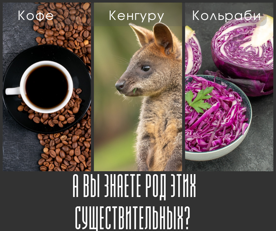 Кенгуру кофе