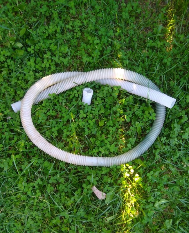 Один цветёт, второй- сломался. Опять.