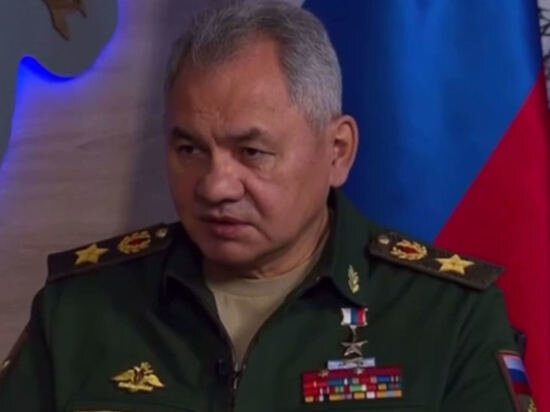     Сергей Шойгу. Фото: Кадр телетрансляции.
