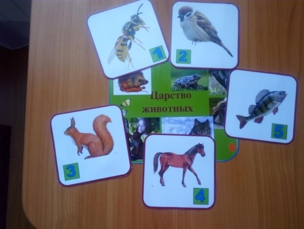 Дидактические игры по экологии в подготовительной группе: картотека с целями
