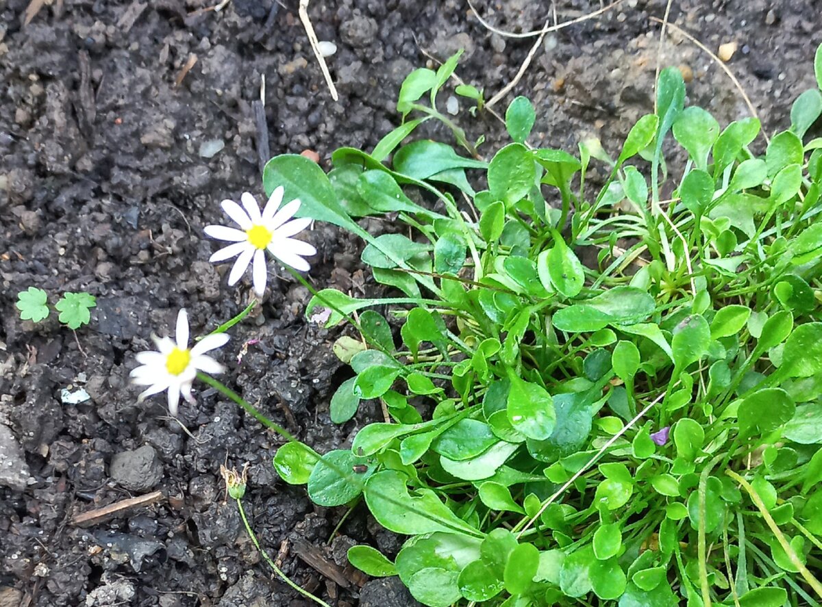 В галерее 4 фото, листайте