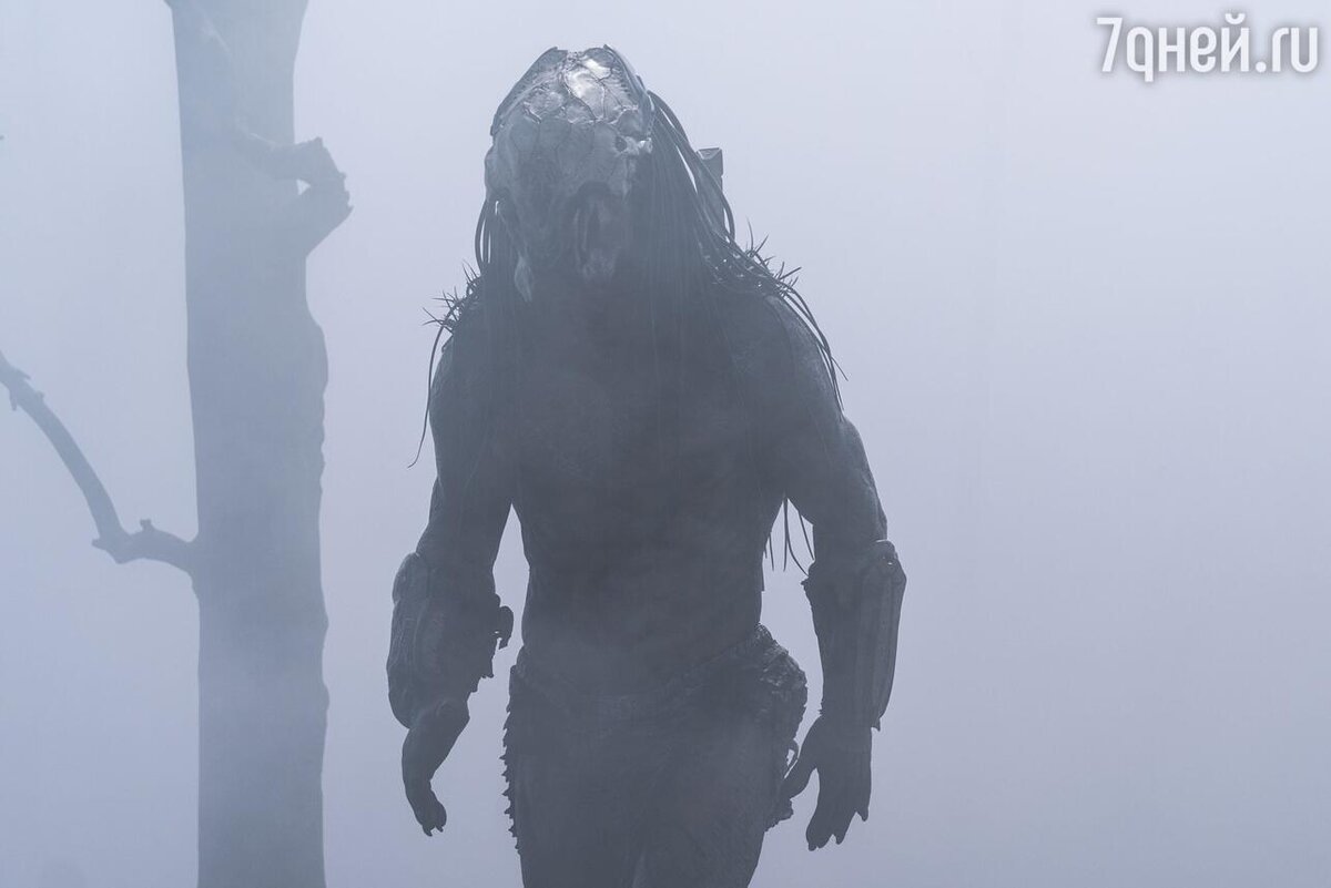    «Добыча», реж. Дэн Трахтенберг Кадр из фильма