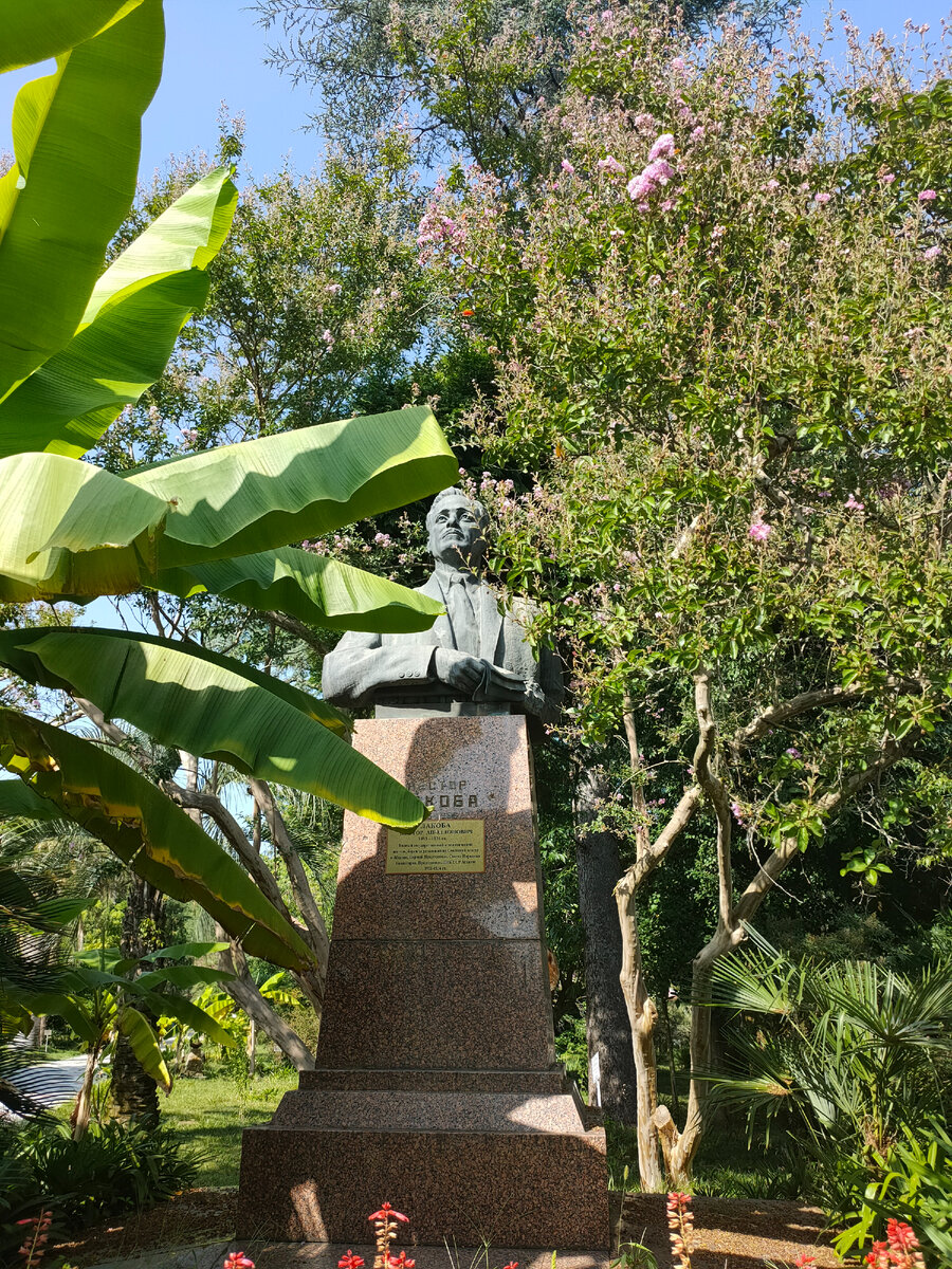 Ботанический сад Сухум