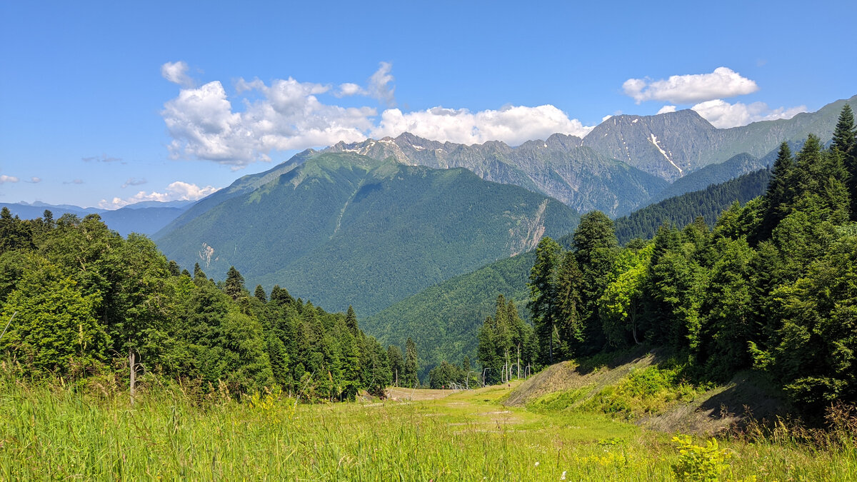 Начало пути