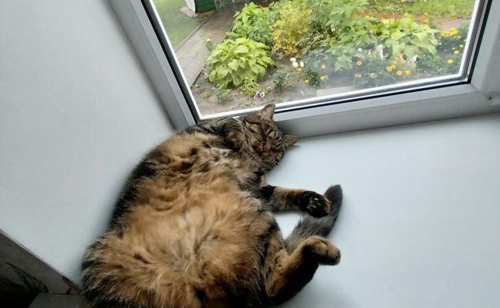    фото из архива Курских известий