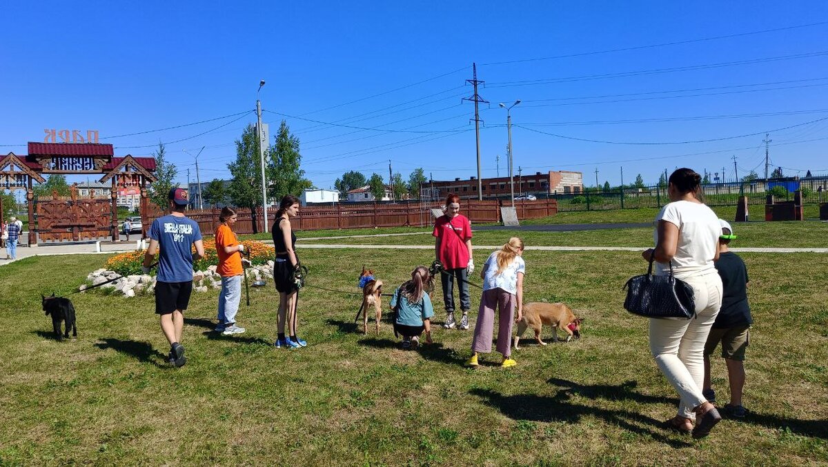 Прогулка в парке