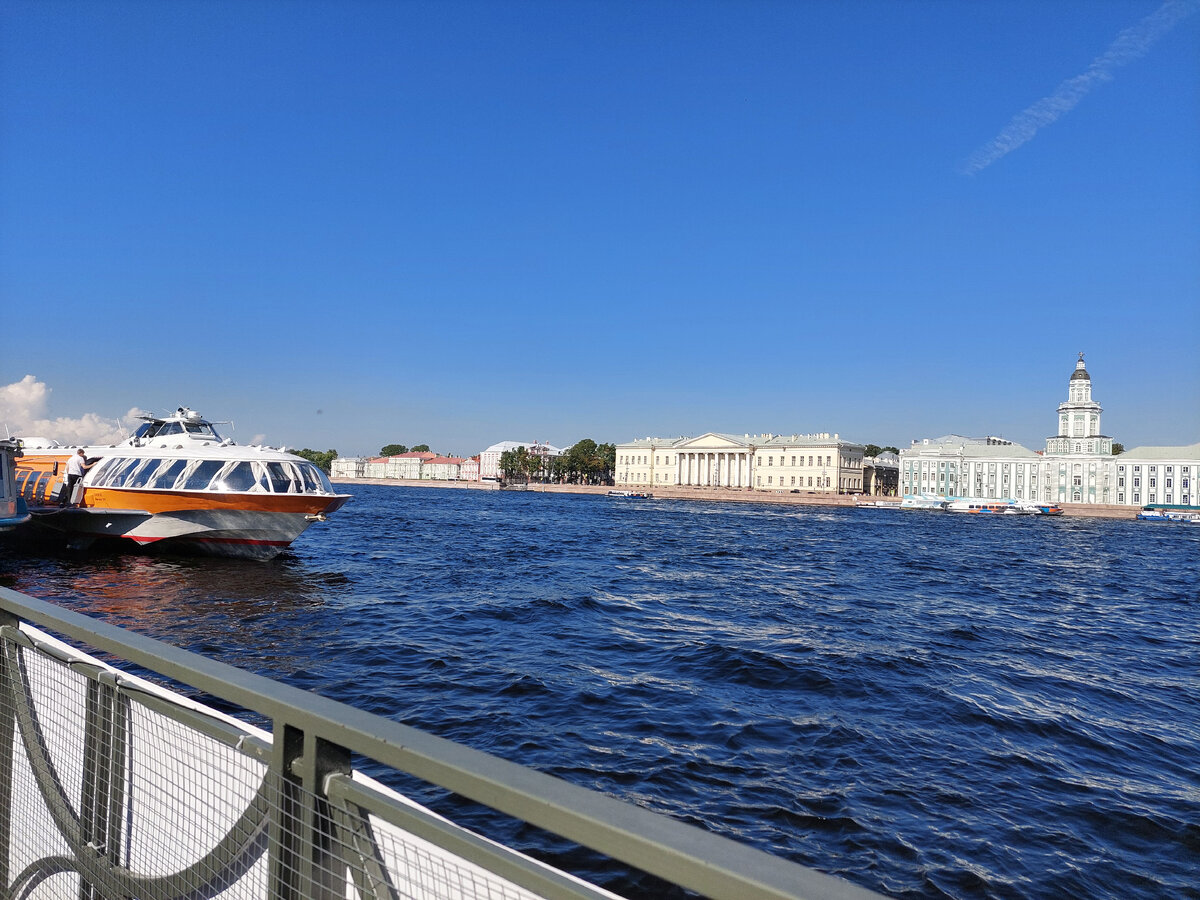 Наша поездка на крылатом водном транспорте | Только правдивые истории | Дзен