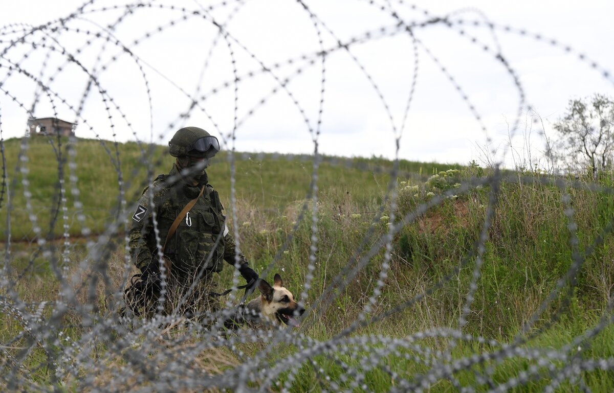     Кинолог ВС РФ со служебной собакой в зоне боевых действий / РИА Новости