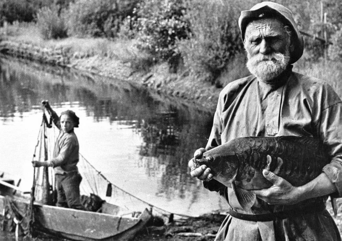 Рыба советском. Рыболовство в старину. Рыбак в старину. Советские рыбаки. Рыбный промысел в старину.