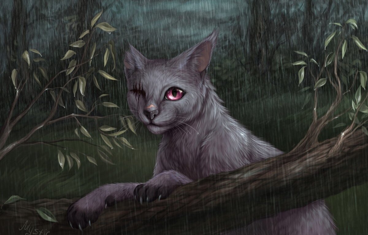 Изменение сайт картинки: https://goo.su/8heRzu