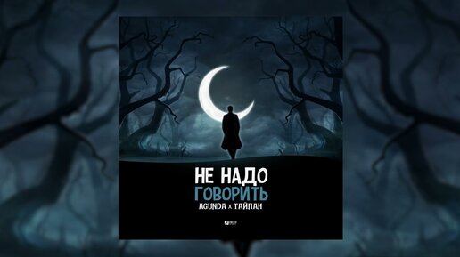 Agunda, Тайпан - Не надо говорить (Официальная премьера трека)