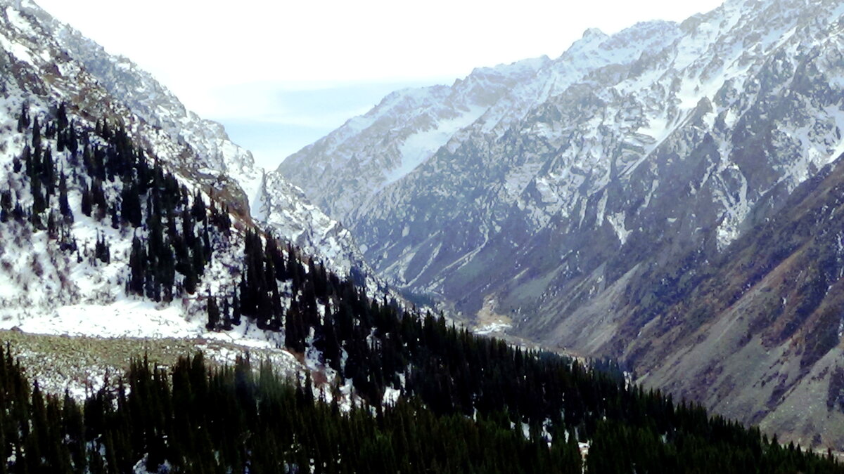 Ала арчинское ущелье кыргызстан фото