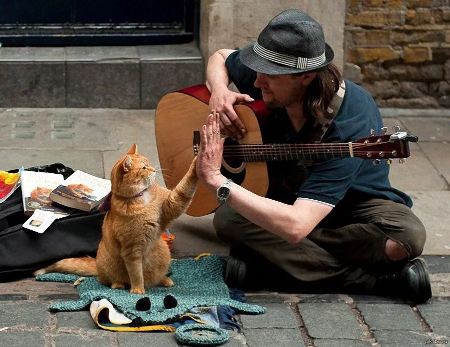 Кот уличного музыканта. Кот Боб. Рыжий кот Боб.