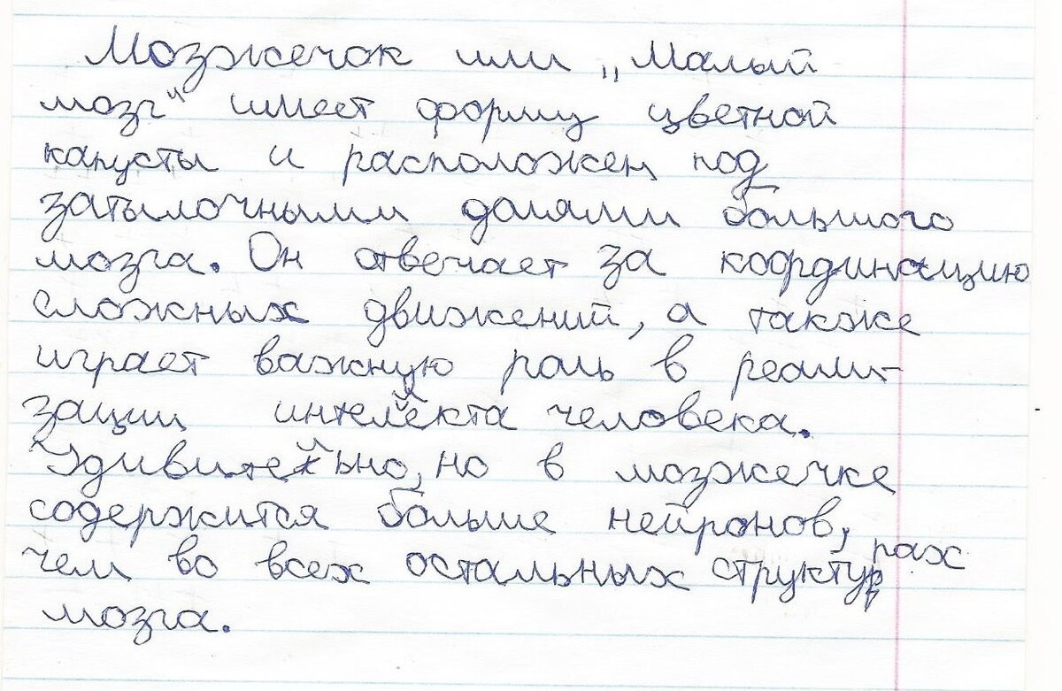 Как же развивать этот мозжечок? | Татьяна Гогуадзе о дислексии и для  дислексиков | Дзен