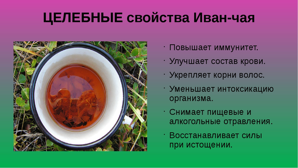 Иван-чай против простатита